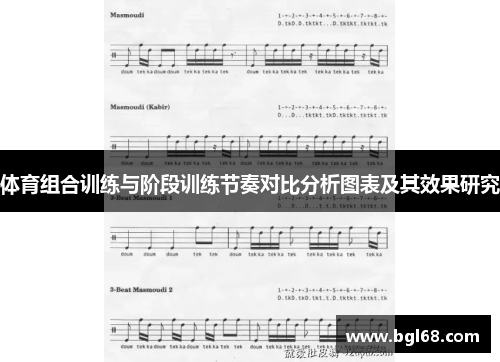 体育组合训练与阶段训练节奏对比分析图表及其效果研究